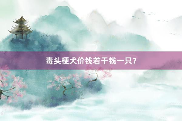 毒头梗犬价钱若干钱一只？