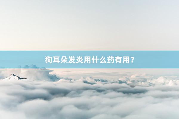 狗耳朵发炎用什么药有用？