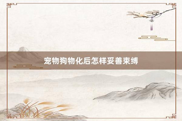 宠物狗物化后怎样妥善束缚